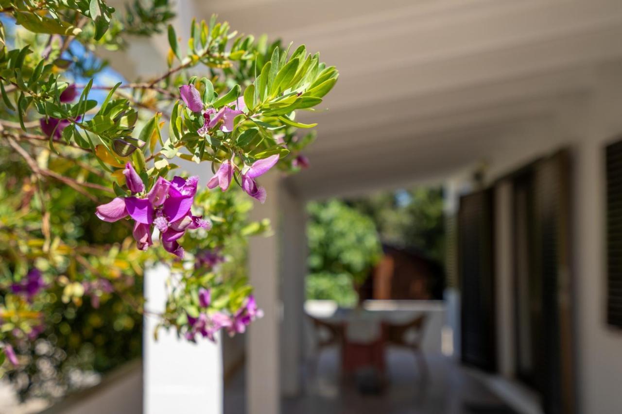Вилла Bettina & Birgitta - Formentera Break Эс-Пужоль Экстерьер фото
